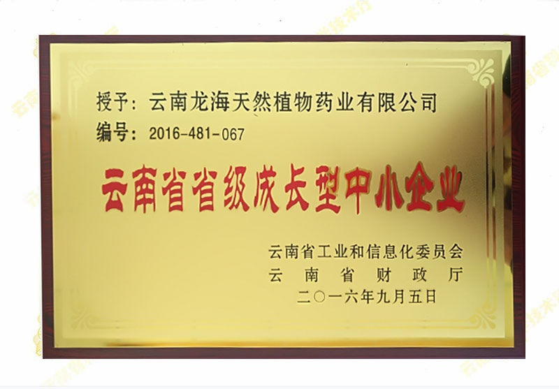 云南省省級成長型中小企業